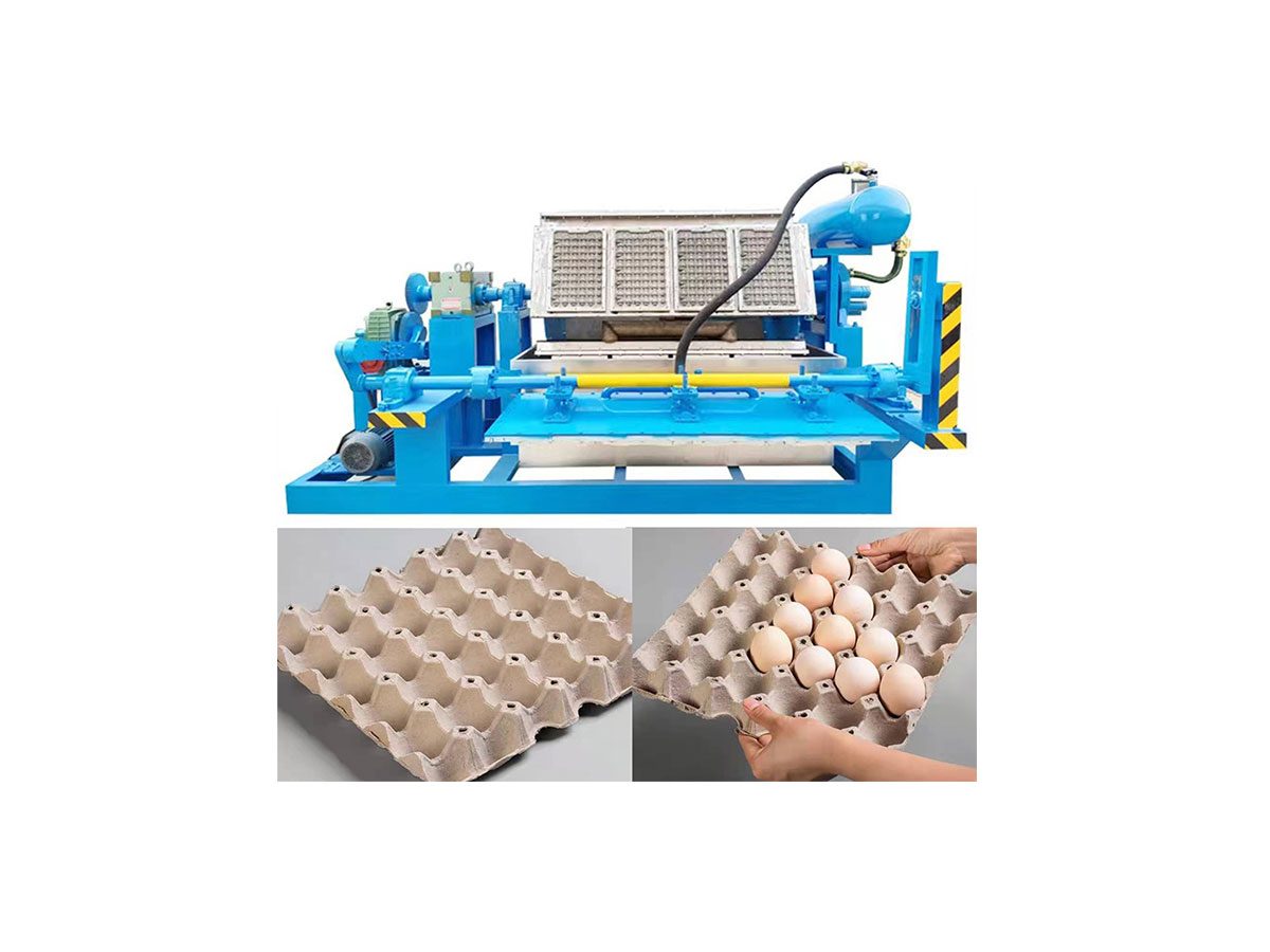 YG Machinery's egg tray maker machine