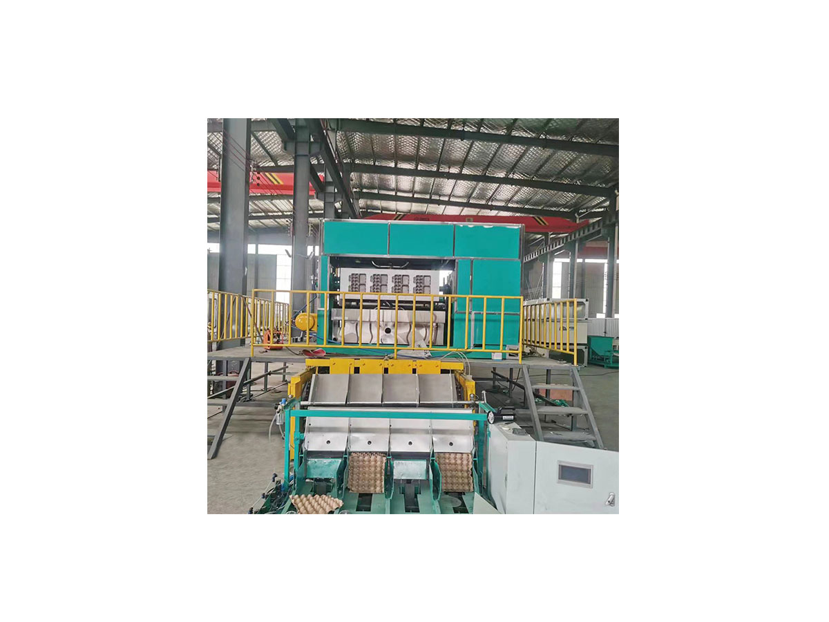 YG Machinery's egg tray production line