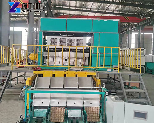 egg tray production line