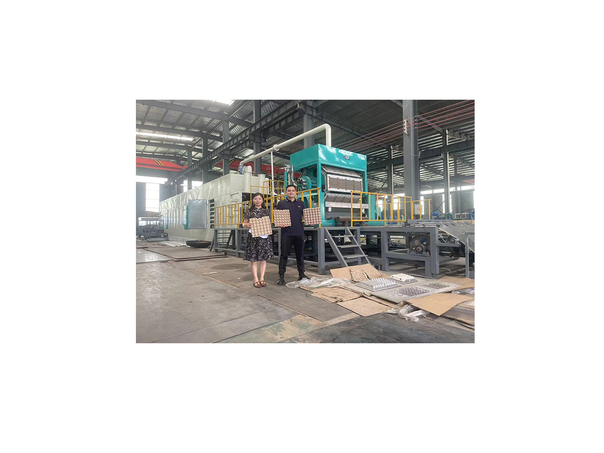 YG Machinery egg tray machine