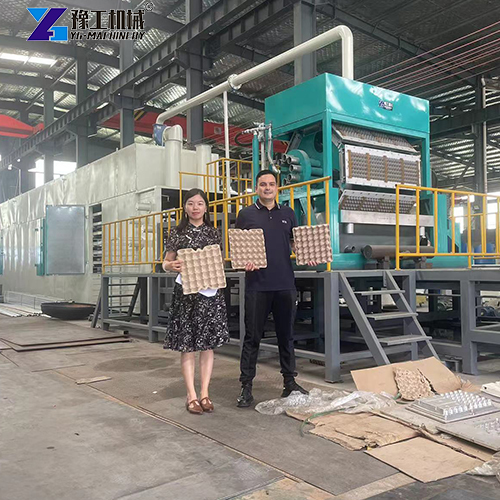 egg tray manufacturing machine factory